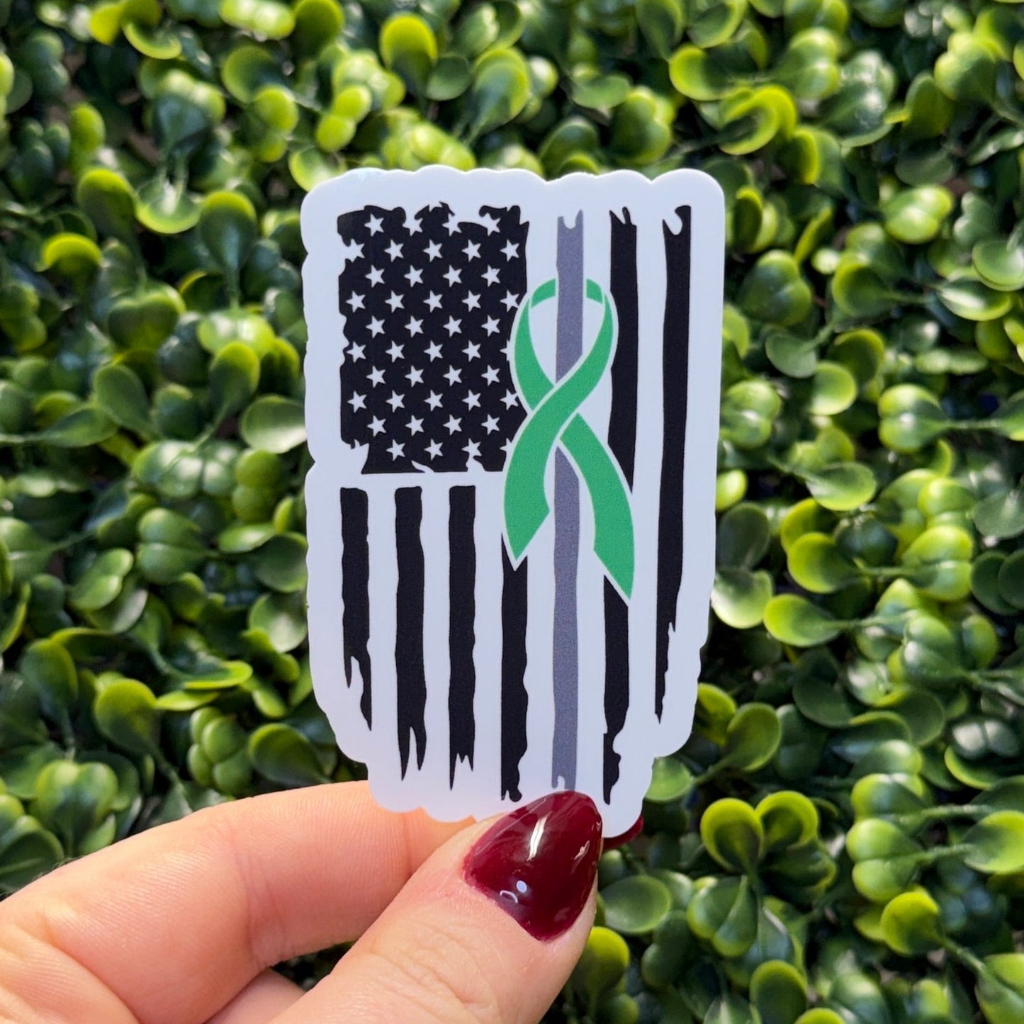 Corrections Mental Health Flag