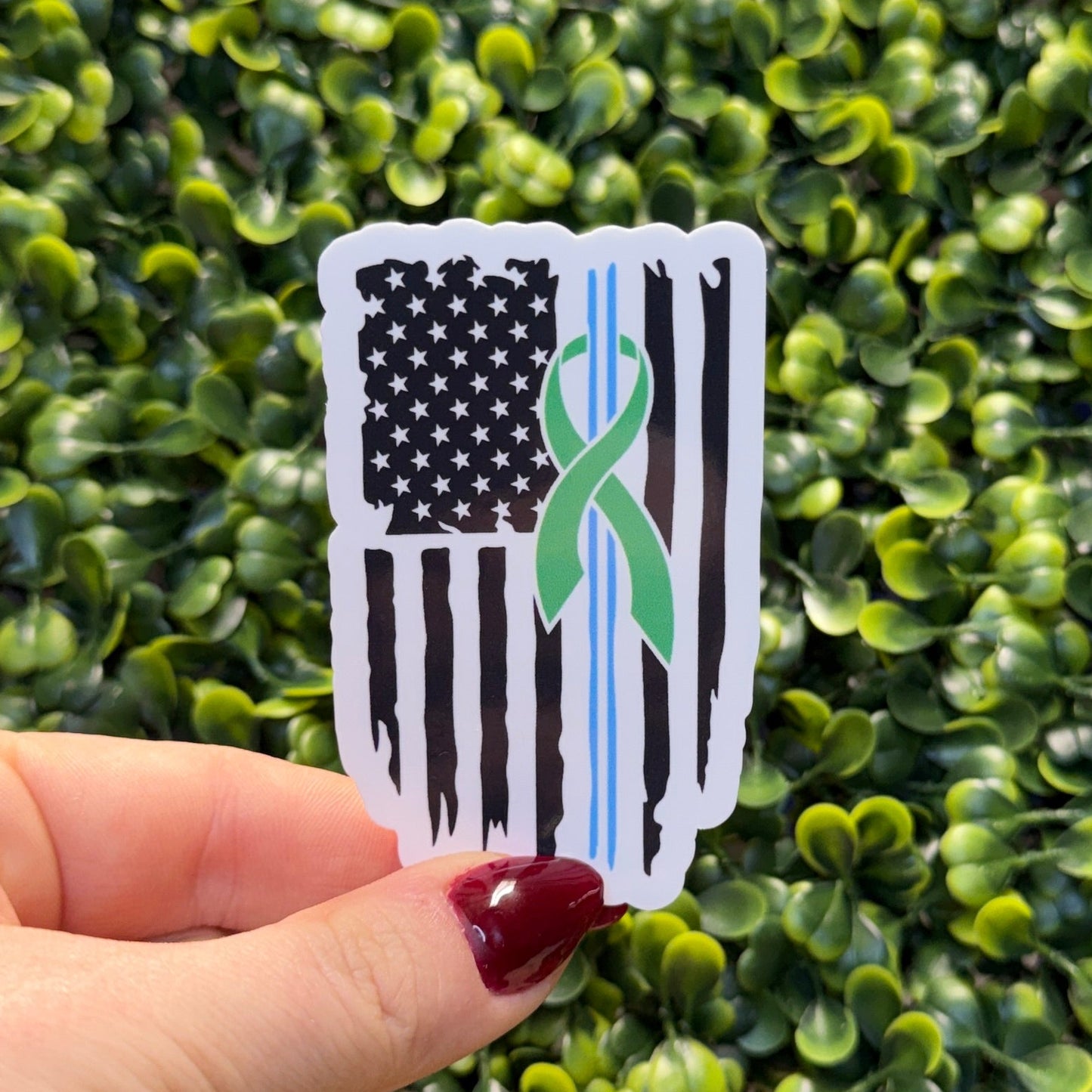 EMS Mental Health Flag