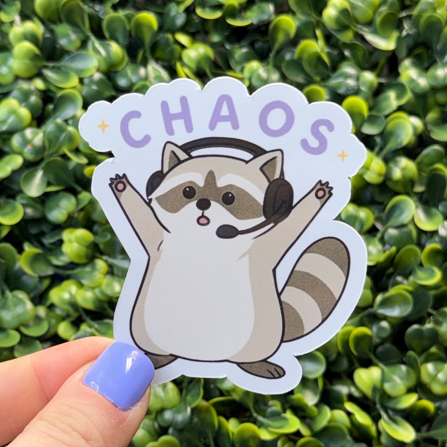 Chaos Coon Bundle