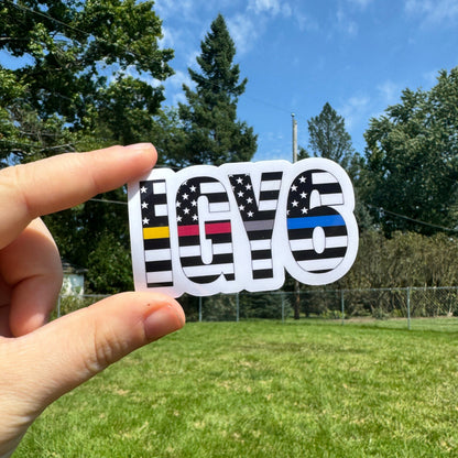 IGY6 Sticker