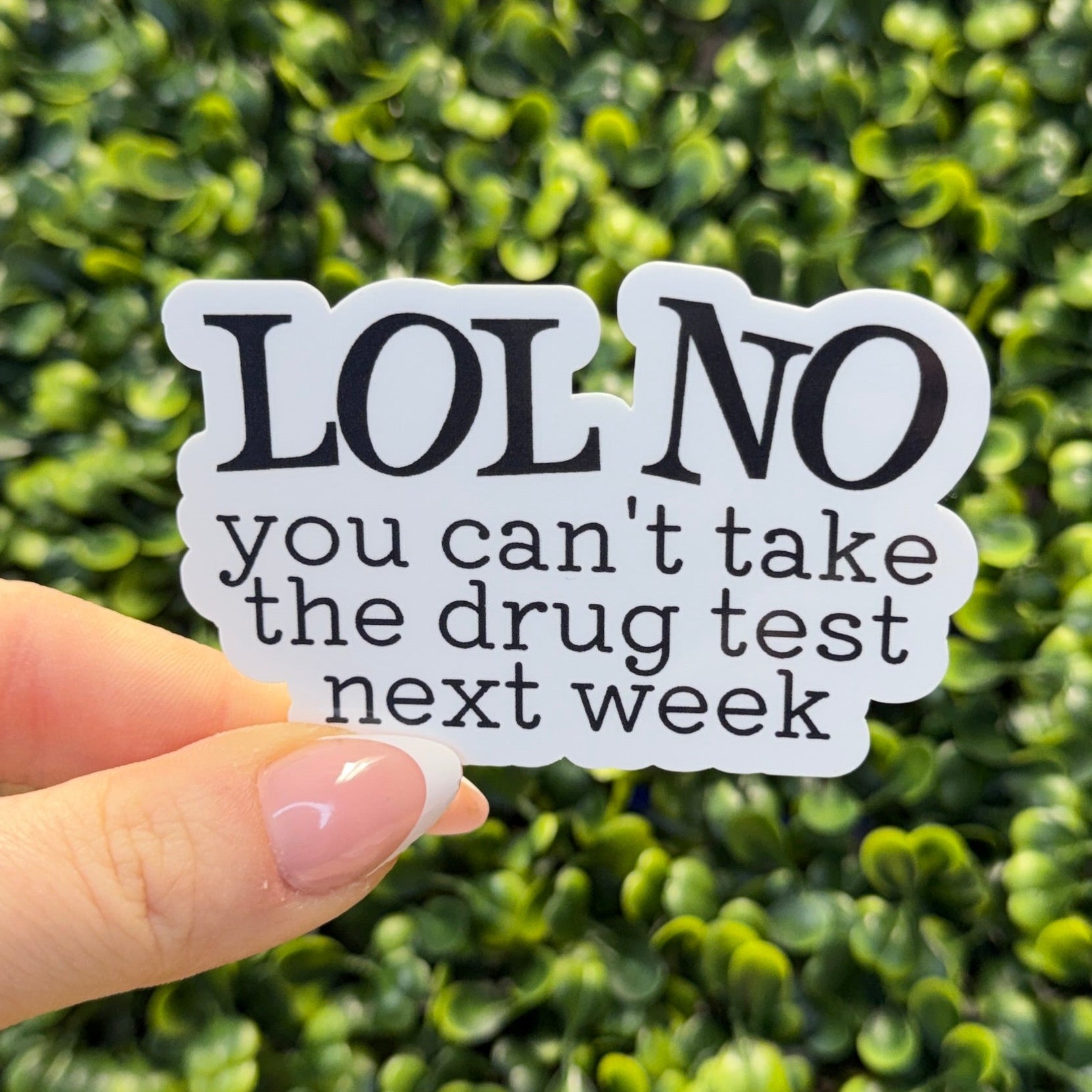 Hand holding a sticker with text against a green leafy background