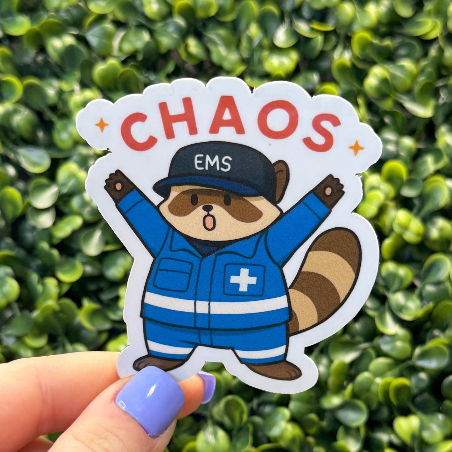 Chaos Coon Bundle