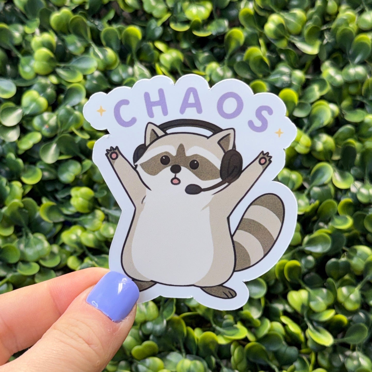Chaos Coon Dispatch Bundle