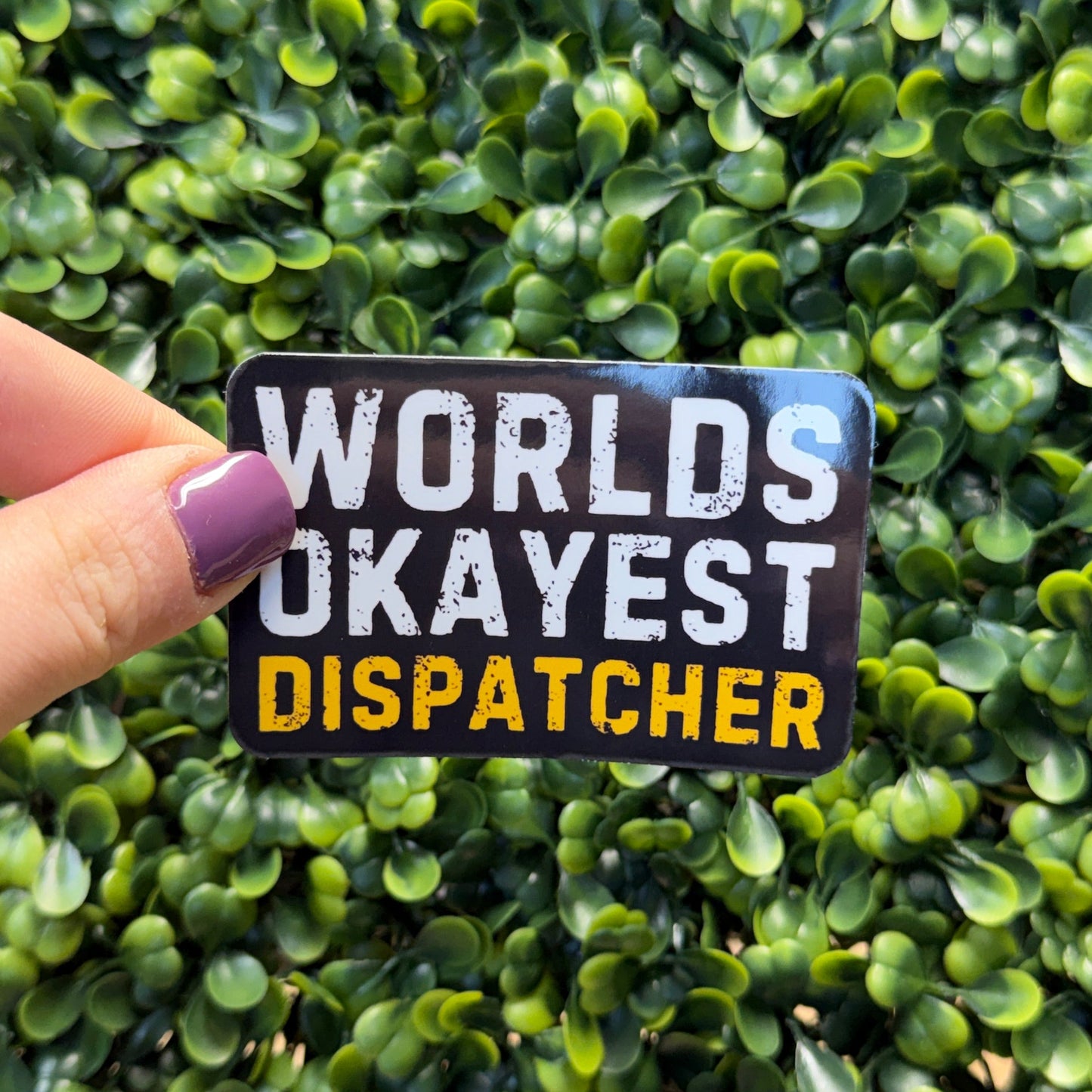 Worlds Okayest Bundle