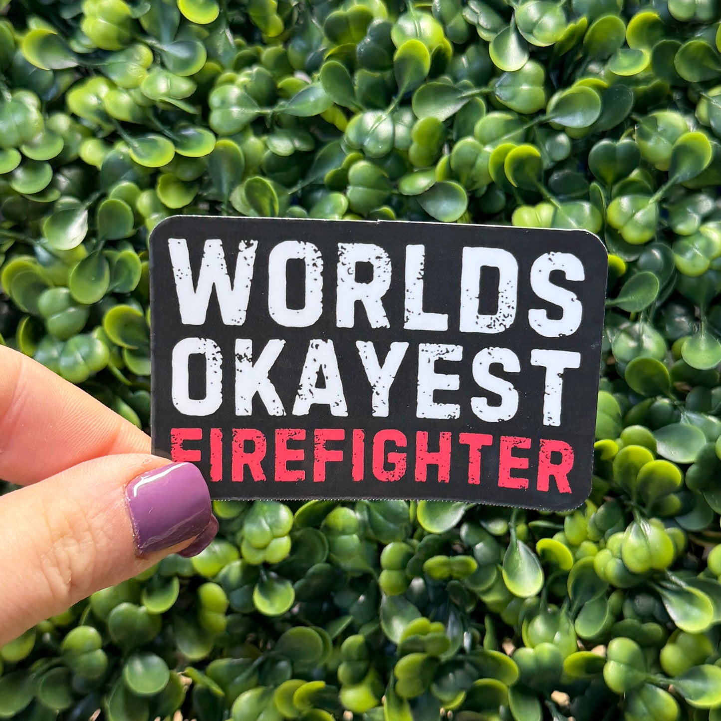 Worlds Okayest Bundle